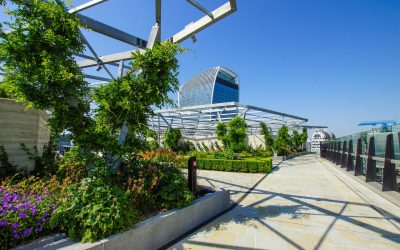 About Green Roofs